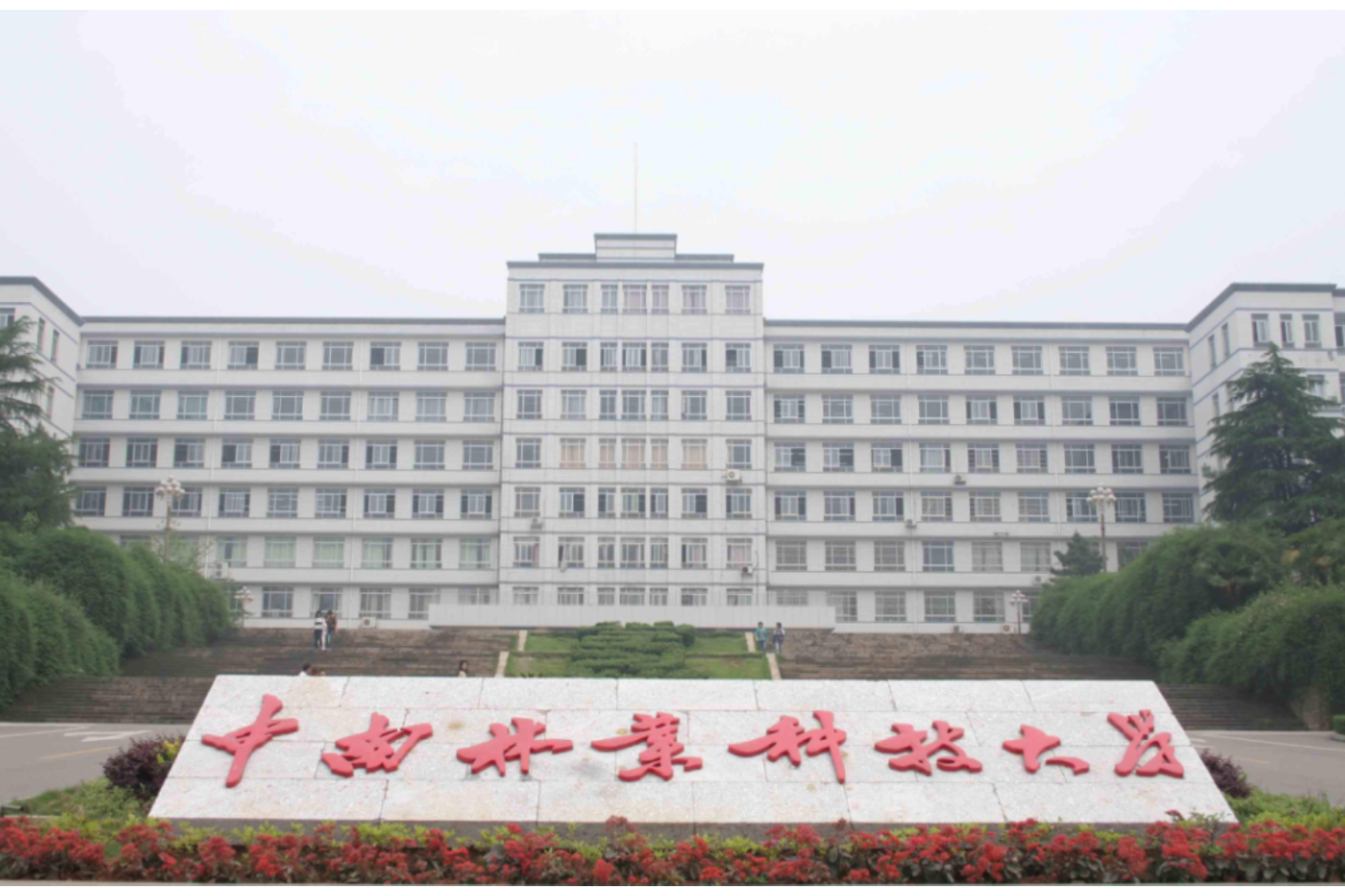Work together to promote development! Xingfei Zhiyuan signed a memorandum of cooperation with Bangor College of Central South University of Forestry and Technology
